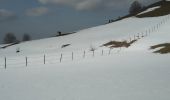 Randonnée Raquettes à neige La Chaux - Cret Moniot 19 fév 2019 CAF - Photo 9