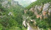 Tour Wandern Gorges du Tarn Causses - Sentier de St-Chély du Tarn - Photo 1