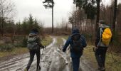 Trail Walking Gedinne - Gedinne 10,5 km - Photo 3