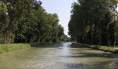Tocht Fiets Clermont-Soubiran - Voie Verte du Canal de Garonne - Laspeyres - Meilhan sur Garonne  - Photo 2