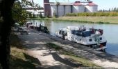 Tocht Fiets Clermont-Soubiran - Voie Verte du Canal de Garonne - Laspeyres - Meilhan sur Garonne  - Photo 1