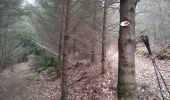 Trail Walking Schirmeck - Le Donon - Photo 1
