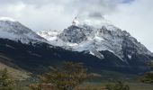 Excursión Senderismo El Chaltén - Cerro Solo 19 février 2019 - Photo 6