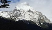 Tocht Stappen El Chaltén - Cerro Solo 19 février 2019 - Photo 5