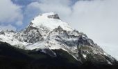 Percorso Marcia El Chaltén - Cerro Solo 19 février 2019 - Photo 4