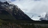 Tour Wandern El Chaltén - Cerro Solo 19 février 2019 - Photo 2