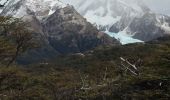 Tocht Stappen El Chaltén - Sendero du Fitz Roy 21 février 2019 - Photo 7