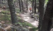 Excursión Senderismo El Chaltén - Sendero du Fitz Roy 21 février 2019 - Photo 6