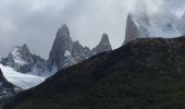 Excursión Senderismo El Chaltén - Sendero du Fitz Roy 21 février 2019 - Photo 3