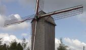 Tocht Stappen Steenvoorde - La Ronde des Moulins - Steenvoorde - Photo 2