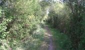 Trail Walking Buysscheure - Vers le Paradis - Buysscheure - Photo 3