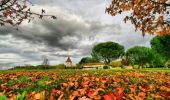 Tocht Stappen La Romieu - Pèlerins du Nord - La Romieu - Photo 1