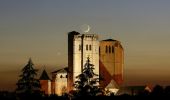 Tour Wandern La Romieu - Les méandres du petit Auvignon - La Romieu - Photo 1