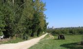 Trail Walking La Romieu - En passant par le Marcasson - La Romieu - Photo 1