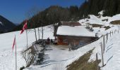 Tour Schneeschuhwandern Châtel - Petite  Châtel - Photo 1