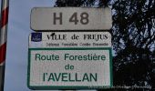 Tour Wandern Fréjus - 20190306 Lavellan rando réelle.  - Photo 2