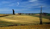 Tour Wandern Montestruc-sur-Gers - Un peu plus près des étoiles  - Montestruc sur Gers - Photo 1