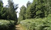 Percorso Marcia Tilloy-lez-Marchiennes - Circuit du Marais des Vaches - Tilloy-lez-Marchiennes - Photo 4