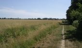 Percorso Marcia Tilloy-lez-Marchiennes - Circuit du Marais des Vaches - Tilloy-lez-Marchiennes - Photo 2