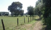 Tour Wandern Tilloy-lez-Marchiennes - Circuit du Marais des Vaches - Tilloy-lez-Marchiennes - Photo 1