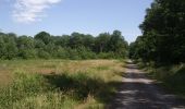 Tour Mountainbike Marchiennes - Circuit de l'Elpret - Marchiennes - Photo 3