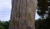 Tocht Stappen Pleumeur-Bodou - Circuit des Menhirs et dolmens - Pleumeur-Bodou - Photo 6