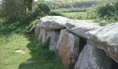Tocht Stappen Pleumeur-Bodou - Circuit des Menhirs et dolmens - Pleumeur-Bodou - Photo 4