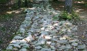 Tocht Stappen Leffonds - La Via Francigena - Traversée de la Haute Marne -de Mormant à Faverolles - Photo 1