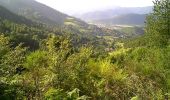 Tour Wandern Oderen - Le Trehkopf par le Uhufels et le Gommkopf - Photo 5