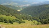 Randonnée Marche Fellering - Le Drumont par Rammersbach et le Lochberg - Photo 6