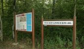 Trail Walking Duzey - Bois de Warphemont - Duzey - Photo 3