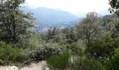 Randonnée Marche Bastelica - piscia d'Ortola - Photo 2