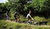 Trail Mountain bike Malijai - Base VTT FFCT Val de Durance - Les Lavandes - Circuit n°11 - Malijai - Photo 1