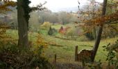 Tour Pferd Feings - Attelage en forêt domaniale de Reno-Valdieu - Feings - Photo 2