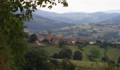 Tocht Stappen Deux-Grosnes - Circuit de Saint-Jacques des Arrêts - Photo 3