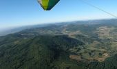 Trail Walking Deux-Grosnes - Circuits n°1 et 2 du Mont Saint-Rigaud - Monsols - Photo 3