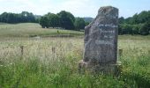 Tocht Paard Les Cars - Circuit du dolmen de la Goupillère - Les Cars - Photo 4