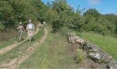 Trail Walking Saint-Priest-sous-Aixe - Circuit Balade en forêt des Loges - Saint-Priest-sous-Aixe - Photo 2