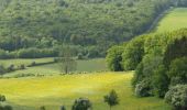 Percorso Mountainbike Dugny-sur-Meuse - Les 8 chevaux - Dugny-sur-Meuse - Photo 4