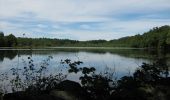 Tour Wandern Rosiers-d'Égletons - Par les Puys - Rosiers d'Egletons - Pays d'Egletons  - Photo 1