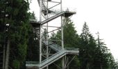 Excursión Bici de montaña Meymac - Le toit du Limousin 19 km - Meymac - Pays de Haute Corrèze  - Photo 1