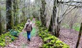 Excursión Senderismo Mestes - La Bujada - Mestes - Pays de Haute Corrèze - Photo 1