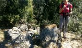Trail Walking Brignoles - Brignoles-Boucle de l'Amarron 16-03-2019 - Photo 2