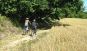 Trail Walking Saint-Cirgues-la-Loutre - Le Gourdaloup 12 km - Saint Cirgues la Loutre - Pays de la Vallée de la Dordogne Corrézienne  - Photo 1