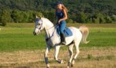 Trail Equestrian Gréoux-les-Bains - Parcours équestre des Lavandes -  Gréoux les Bains - Photo 1