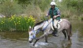 Trail Equestrian Gréoux-les-Bains - Parcours du Lac - Gréoux les Bains - Photo 1