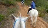 Trail Equestrian Gréoux-les-Bains - Parcours de Rousset - Gréoux les Bains - Photo 1