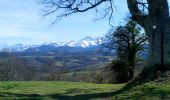 Trail Nordic walking Montgaillard - montgaillard brouillon - Photo 9