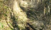 Tocht Stappen Thalamy - Sur les traces des chevaliers de l'Ordre de Malte - Thalamy - Pays de Haute Corrèze  - Photo 1