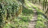 Trail Walking Lafage-sur-Sombre - Sur les traces du Tacot - Lafage sur Sombre - Pays d'Egletons  - Photo 1